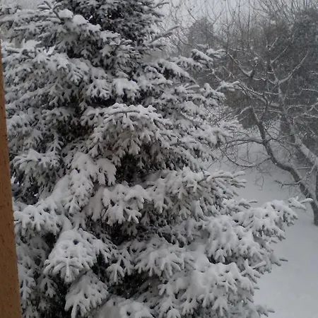 Πανσιόν παραδοσιακός αμάλθεια Τσαγκαράδα