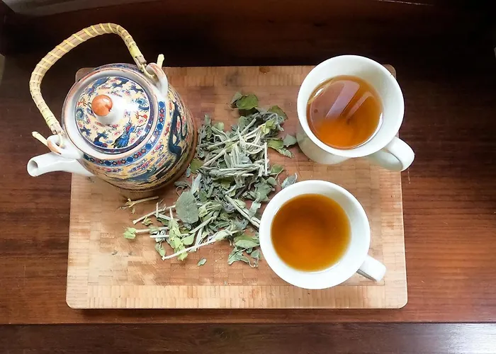 Gasthuis Amalthia Traditional