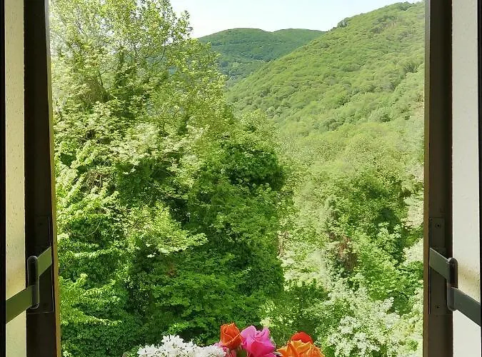 Amalthia Traditional 3*