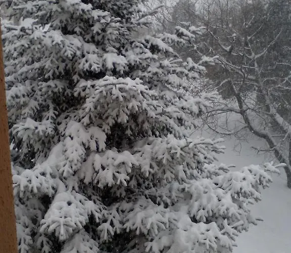 Pensionat Amalthia Traditional Tsagarada